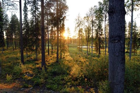  Dongshan Kuilun Ja Maisemien Kultaisella Säihkeellä!